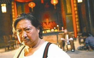 功夫厨神手机在线观看,手机在线，美食与武术的激情碰撞