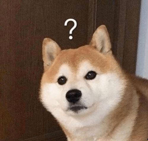 巴哥爆料赤犬视频大全集,赤犬视频大全集精彩瞬间回顾