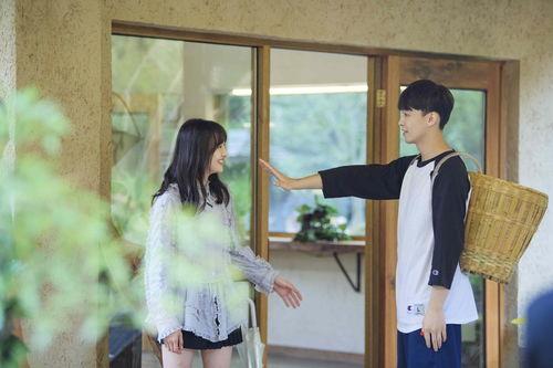 新浪娱乐爆料郑爽,新浪娱乐独家爆料，真相究竟如何？